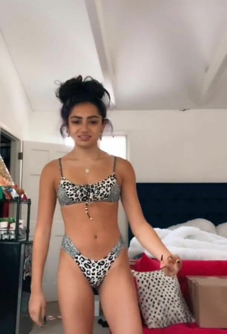 2. Sensual Avani Gregg in Leopard Bikini