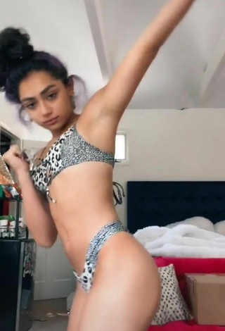 5. Sensual Avani Gregg in Leopard Bikini