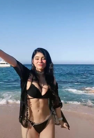 3. Luscious Aylin Criss in Black Bikini at the Beach