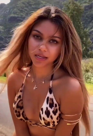 2. Luscious Maile Hammahz Shows Cleavage in Leopard Bikini