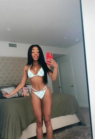 Teala Dunn in Appealing Checkered Bikini (Underboob)