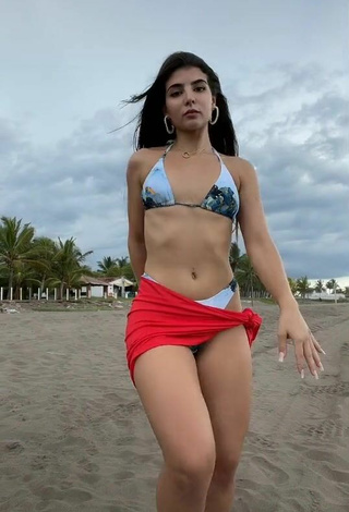 4. Sexy Adriana Daabub in Bikini at the Beach