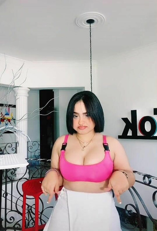 5. Titillating Arianny Henriquez Shows Cleavage in Pink Crop Top