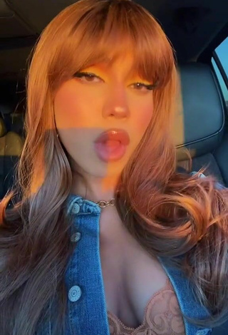 Erotic Asia Monet Ray Shows Cleavage in a Car