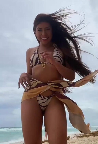 2. Hottest Ingrid Ohara Shows Cleavage in Zebra Bikini at the Beach