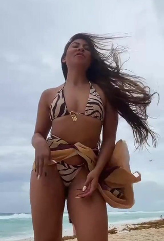 3. Hottest Ingrid Ohara Shows Cleavage in Zebra Bikini at the Beach