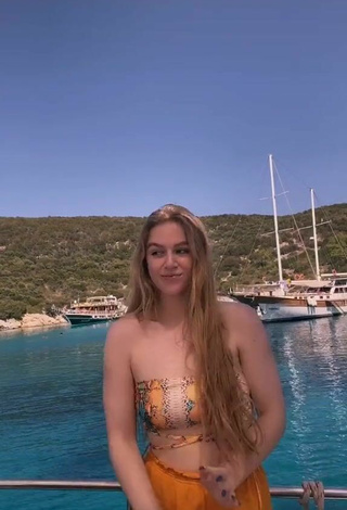 5. Sultry Tessa Bear in Snake Print Bikini Top on a Boat