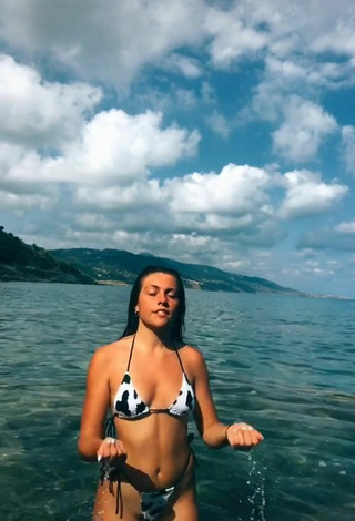 3. Hottest Vanessa Ticalli in Bikini at the Beach