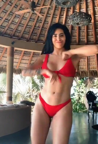 5. Luscious Kim Shantal Shows Cleavage in Red Bikini