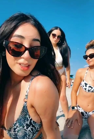 3. Beautiful Ana Daniela Martínez Buenrostro in Sexy Bikini at the Beach