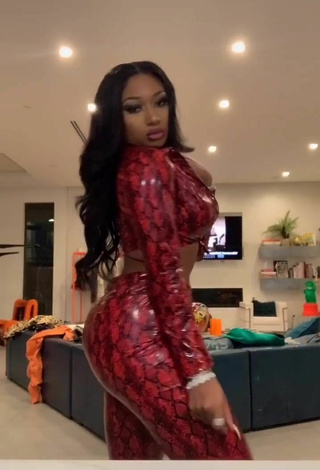 3. Luscious Megan Thee Stallion Shows Big Butt