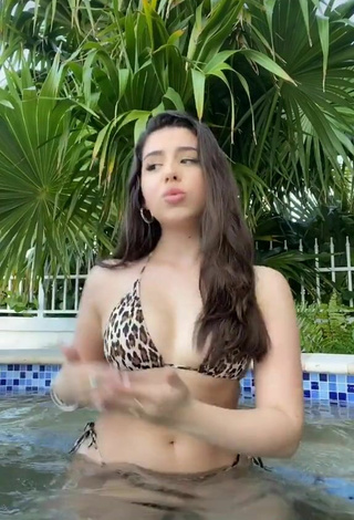 3. Sultry Amanda Díaz in Leopard Bikini at the Pool